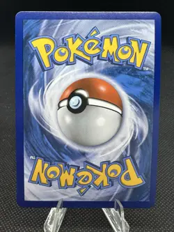 Bewear GX SM34 Promo Sun And Moon Black Star Promos NM - Image 2