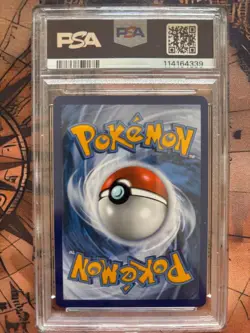 Horsea 067/064 - PSA10 - Shrouded Fable - Holo - Illustration Rare - Pokemon TCG - Image 2