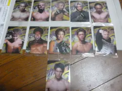 [SC] ya130 No Dubed Rizin Wafer Card Set Of 16 - Image 3