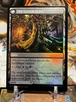 MTG | Revitalizing Repast - Old-Growth Grove [Modern Horizons 3] ✨ FOIL✨ - Image 2