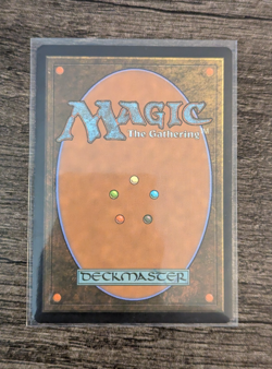 MTG: Champion of the Perished (Innistrad: Midnight Hunt)(RARE) - Image 2