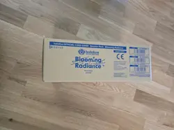 SEALED CASE! 12x hololive Official Card Game: Blooming Radiance Booster Box - Image 2