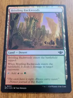 MTG, Bristling Backwoods (FOIL), L, Outlaws of Thunder Junction, OTJ, 0253 - Image 1