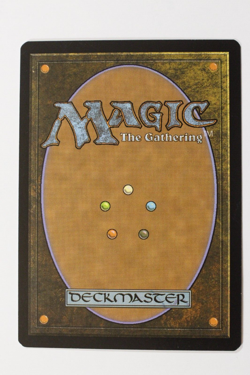 Magic the Gathering MTG Ixalan Herald of the Secret Streams NM - Image 2