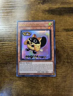 Cooky☆Yummy Ultra Rare NM JUSH-EN017 Justice Hunters - Image 1