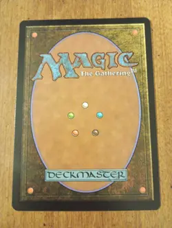 1999 Magic: The Gathering - Urza's Destiny - YAVIMAYA HOLLOW - Rare Land - NM - Image 2