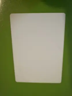 MTG Stone Rain Artist Proof Tempest From the Christopher Rush Family - Image 2