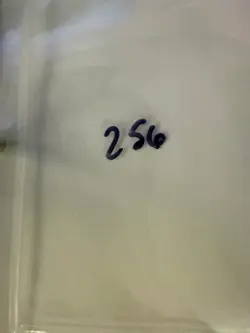 Magic The Gathering: Alpha False Orders MTG Alpha - Image 3