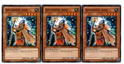 Yugioh- 3X Amazoness Sage - Common - Unlimited - DREV-EN030 - Light Play - Image 1