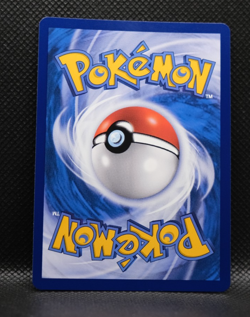 Pokemon S&M Tag Team Braixen Charizard GX Holo 006/061 Simplified Chinese 2023 - Image 2