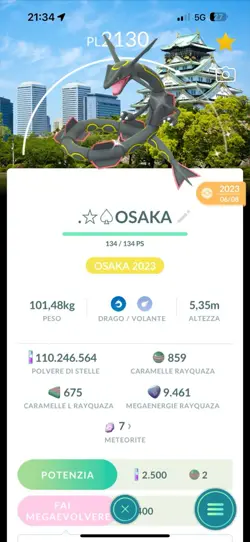 RAYQUAZA SHINY pokemon Go Background Photo OSAKA Location Cards - Image 1