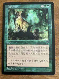 ***Chinese Natural Order*** MTG Visions Magic LP/NM - Image 1
