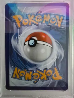 2023 Pokemon Paldea Evolved Magikarp Illustration Rare #203 PSA 8 NM-MT - Image 5