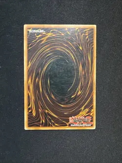 Dark Paladin DMG-001 - Duel Master's Guide - Limited Edition - Yu-Gi-Oh! - Image 2