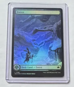 Forest #281 Bloomburrow Foil Full Art Land MTG NM/M - Image 1