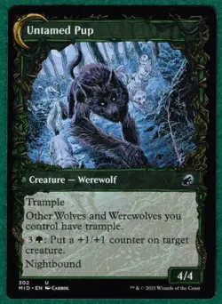 Hound Tamer (Showcase) - Innistrad: Midnight Hunt MID #302 - Magic MTG Card - Image 2