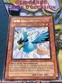 CARTE Yu Gi Oh AILE NOIRE - BLIZZARD, LA TEMPETE D'EXTREME NORD RGBT-FR - Image 1