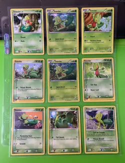 Pokemon Binder Collection Treecko Cards E-Reader EX Era XY Platinum - Image 1