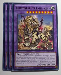 Yugioh x3 Amazoness Pet Liger King DABL-EN098 Common 1st Edition - Image 1
