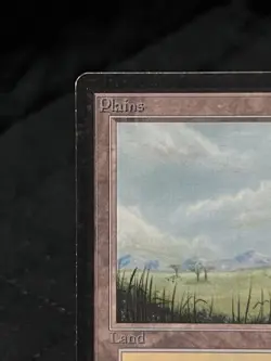 Magic the Gathering Beta Edition Plains (B) Trees ~LP~ MTG - Image 3