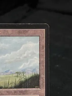 Magic the Gathering Beta Edition Plains (B) Trees ~LP~ MTG - Image 4