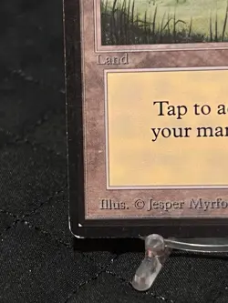 Magic the Gathering Beta Edition Plains (B) Trees ~LP~ MTG - Image 5