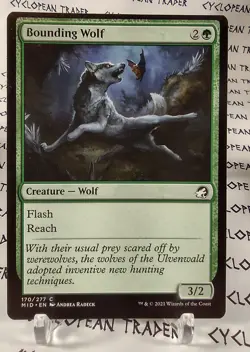 BOUNDING WOLF mtg OFFCENTER Error Innistrad: Midnight Hunt Common - Image 1