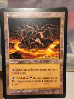Oversized 6 By 9 Mtg 2 Karplusan Forest & 2 Adarker Wastes Arena League - Image 2