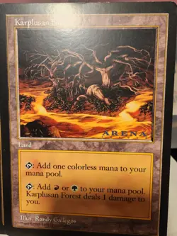 Oversized 6 By 9 Mtg 2 Karplusan Forest & 2 Adarker Wastes Arena League - Image 4