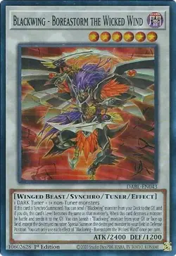 YUGIOH Blackwing / Raidraptor Deck Complete 42 Cards - Image 1