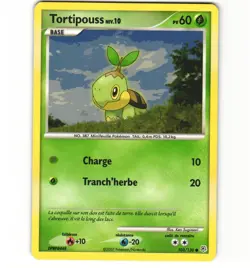 Pokemon French Turtwig 103/130 Diamond and Pearl HP Non-holo Card - Image 1