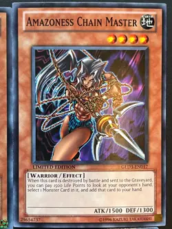YUGIOH AMAZONESS DECK- QUEEN- PRINCESS- TIGER- WARRIOR- SPIRIT- CHAIN NM - Image 5