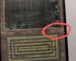 BAYOU - Italian Black-Bordered MTG Magic: the Gathering Dual Land - Image 2