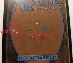 BAYOU - Italian Black-Bordered MTG Magic: the Gathering Dual Land - Image 4