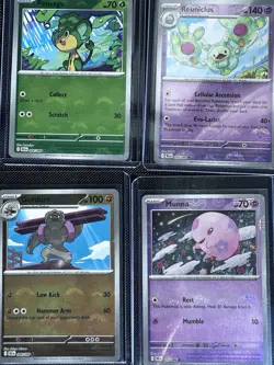 Pokemon Black Bolt Poke Ball / Pokeball Pattern Lot - 12 Total Cards - ENGLISH - Image 4