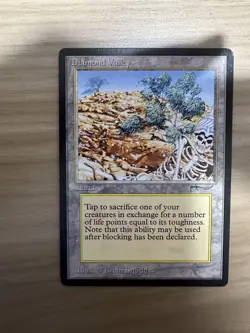 Diamond Valley English Mtg Provides - Image 1