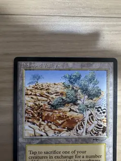 Diamond Valley English Mtg Provides - Image 4