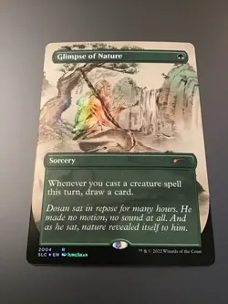 MTG Secret Lair #2004 Glimpse of Nature Borderless Foil NM - Image 1