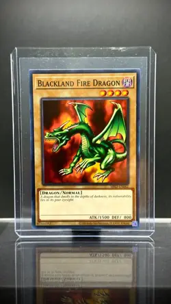 Yugioh! Blackland Fire Dragon - MRD-EN062 - Common - Unlimited 25th Anniversary - Image 3