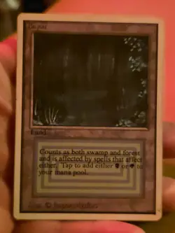 Bayou Unlimited Mtg (Slight Water Dmg On Reverse, See Pics) - Image 1