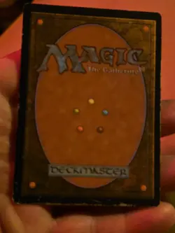 Bayou Unlimited Mtg (Slight Water Dmg On Reverse, See Pics) - Image 2