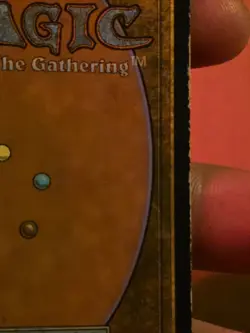 Bayou Unlimited Mtg (Slight Water Dmg On Reverse, See Pics) - Image 4