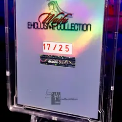 Zero Two 002 Waifu Card Serial #17/25 LIMITED RELEASE Encased Custom Holo Foil - Image 3