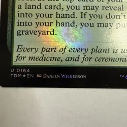 x1 Traveling Botanist TDM Tarkir Dragonstorm MTG 164 Foil Uncommon M/NM 1x - Image 2