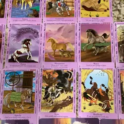 Bella Sara Native Lights 26 Card Lot Rare and Common - Image 5