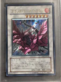 PSA 10 Black Rose Stardust Power Toul Ancient Dragon Ultimate YuGiOh Japanese - Image 3