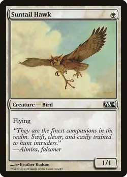 MTG Suntail Hawk ** Magic 2014 ** English - Image 1