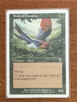 Vintage Magic The Gathering (MTG) : 7th Edition : Birds Of Paradise : Rare - Image 3