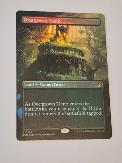 1x MTG Overgrown Tomb - Foil - Borderless Ravnica Remastered 296 NM x1 - Image 1