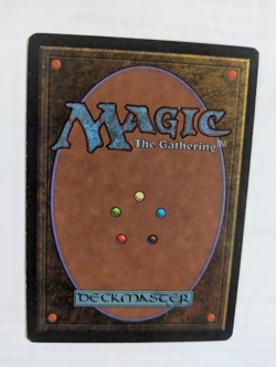 Ring of Immortals Legends MTG LP Free Shipping with tracking - Image 2